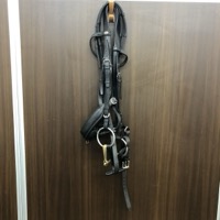 G.PASSIER SOHN パッシェ 水勒 手綱 乗馬用品